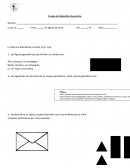 Prueba de Matemática- Geometría.