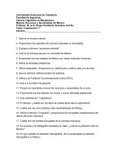 Cuestionario economía informal