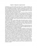 Capitulo 1 diagnostico organizacional.