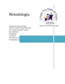 Tesina Metodologia.