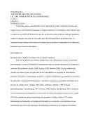 INFORMATICA - ENSAYO.