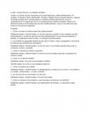 CASO: ATRACÓN DE LA COMIDA RÁPIDA.