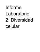 Informe laboratorio biologia