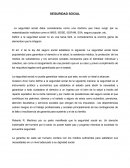 SEGURIDAD SOCIAL. Ensayo