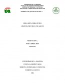 IDEA DE NEGOCIO EMPRESA DE QUESILLOS DASOCA