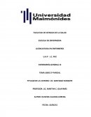 TEMA LIBRE ENFERMERIA 2 PARCIAL. Cuidados culturales