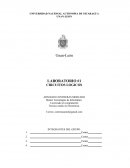 Circuitos logicos.