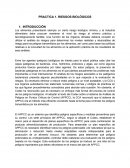 PRACTICA 1. RIESGOS BIOLÓGICOS
