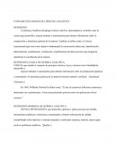 FUNDAMENTOS (BASES) DEL PROCESO ANALÍTICO