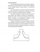 La burocracia maquinal suele fijarse en empresas de mediano y gran tamaño, las cuales han llegado a su madurez.