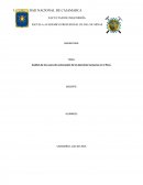 Análisis de los casos de vulneración de los derechos humanos en el Perú.