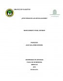 PLASMA RICO EN PLAQUETAS ¿EFECTIVIDAD EN LAS ARTICULACIONES?