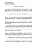 La importancia del movimiento en la expresión corporal