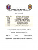 AMBIENTE Y SUSTENTABILIDAD.