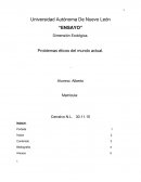 ENSAYO Problemas éticos del mundo actual.