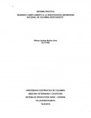 INFORME PRÁCTICA “MARENGO CAMPO ABIERTO A LA INVESTIGACION UNIVERSIDAD NACIONAL DE COLOMBIA SEDE BOGOTA”