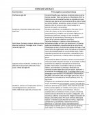 CIENCIAS SOCIALES Corrientes