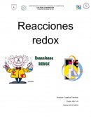 Reacciones redox.