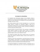 CULTURAS DE LA PREHISTORIA