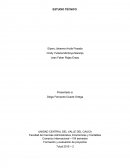 El estudio técnico tiene por objeto proveer información para cuantificar el monto de las inversiones y de los costos de operación pertinentes.