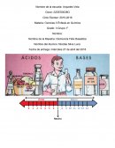 ACIDOS Y BASES Aprendizajes Esperados: Identificación de ácidos y bases.