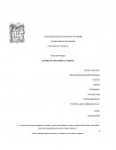 Corridas de Toros Cultura y Tradicion