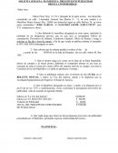 SOLICITA SUBASTA- MANIFIESTA- PRESUPUESTO PUBLICIDAD