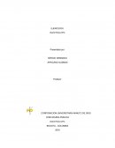 EJERCICIOS ELECTIVA CPC