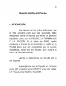 Rollo Acción Apostólica