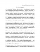 La entrevista grupal