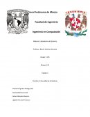 Práctica 2 Densidad.