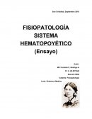 SISTEMA HEAMATOPEYICO