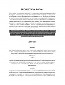 Introduccion a la PRODUCCIÓN RADIOFÓNICA.