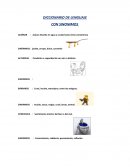 DICCIONARIO DE LENGUAJE.