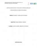 MODALIDAD MIXTA OPCIÓN AUTOPLANEADA