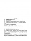 Propiedades fisicas y quimicas de la materia ensayo.