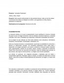 Proyecto: “Campaña Publicitaria”