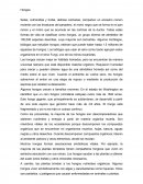 Setas, colmenillas y trufas, delicias culinarias, comparten un ancestro común reciente con las levaduras del panadero, el moho negro que se forma en el pan rancio y el moho que se acumula en las cortinas de la ducha.