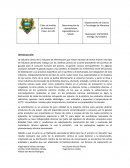 Determinación de características organolépticas en helado