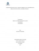 HABITOS BASICOS DE SALUD Y CREECIAS SOBRE SALUD Y ENFERMEDAD EN ADOLECENTES DE ESPAÑA, COLOMBIA YMEXICO