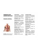 Terminología cardiovascular.