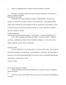 Diseña un organigrama para la empresa Escuela Dos Mundos y justifícalo.