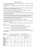 TRABAJO PRACTICO N° 1