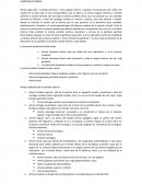 Nervio vago (10) + carotida primitiva + vena yugular interna = paquene neurovascular del cuello.