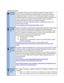 MATRIZ PESTEL. Página 1