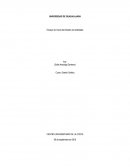 Ensayo de Voces del Diseño de Aristóteles