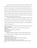 Gestión de Transporte.