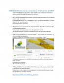 COMUNICACIÓN entre marcas y consumidores. “El año del tren del MEME”