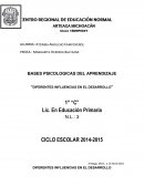 Diferentes influencias en el desarrollo