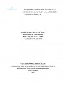 ESTUDIO DE FACTIBILIDAD DE CREACION DE UN CENTRO DE SPA AL NATURAL´S